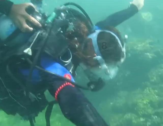 沙漠避难所